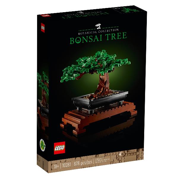 ALBERO BONSAI - immagine 3