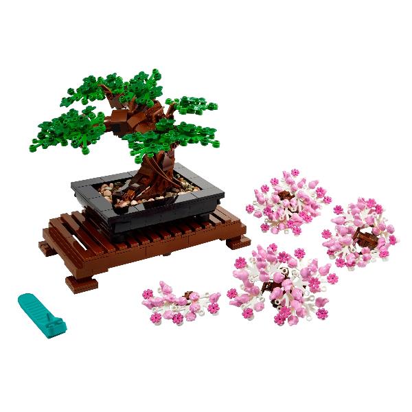 ALBERO BONSAI - immagine 5