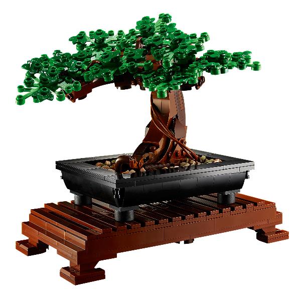 ALBERO BONSAI - immagine 6