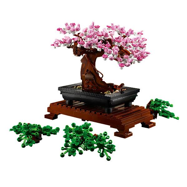 ALBERO BONSAI - immagine 7