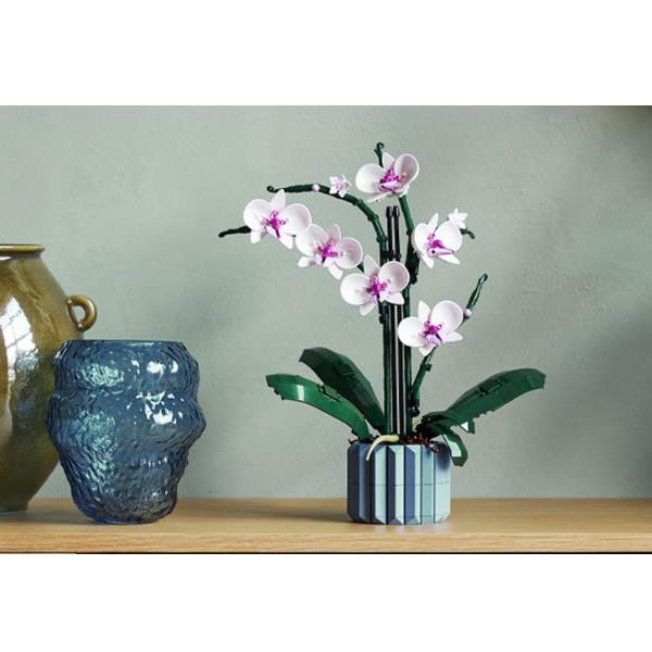 ORCHIDEA - immagine 7