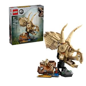 FOSSILI DINOSAURO TESCHIO TRICERATO