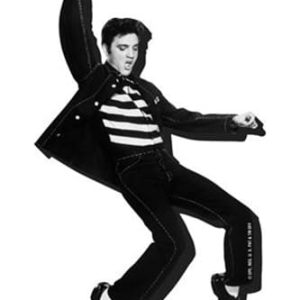 ELVIS JAILHOUSE Magnet