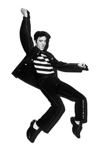 ELVIS JAILHOUSE Magnet