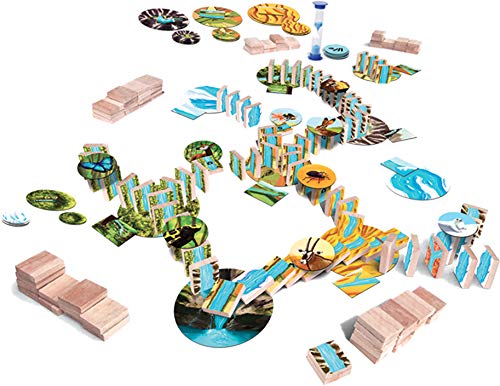 Aya – Italiano - immagine 3