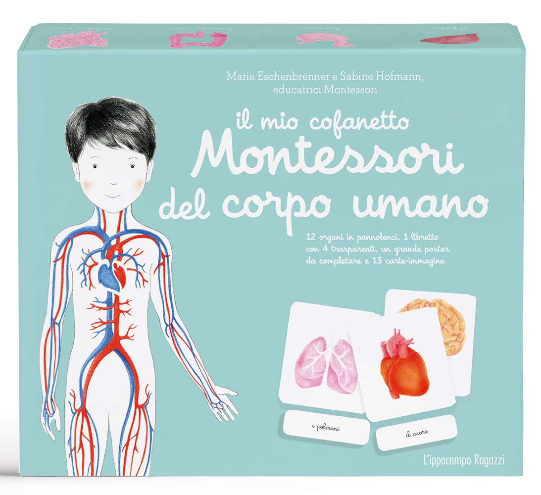 Il mio cofanetto Montessori del CORPO UMANO - immagine 2