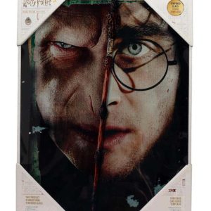 Hp Half Face Harry&Voldemort Glass Poste