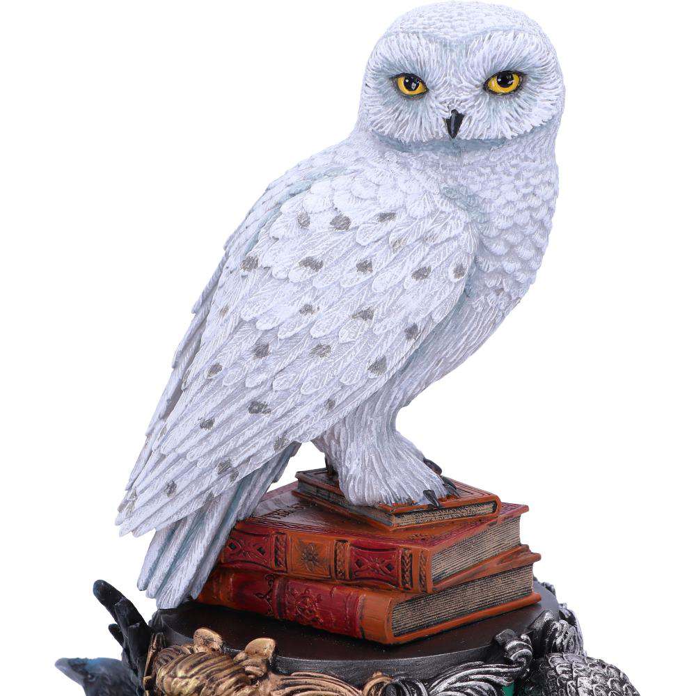 Harry Potter Hedwig Statue - immagine 7