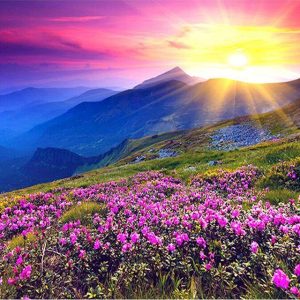 Alba in montagna Diamond Painting | Seos Shop ®