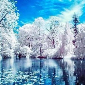 Alberi In Primavera Diamond Painting | Seos Shop ®