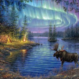 Alce sotto l'Aurora Boreale Diamond Painting | Seos Shop ®