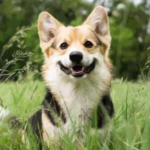 Amiamo I Cani Diamond Painting | Seos Shop ®