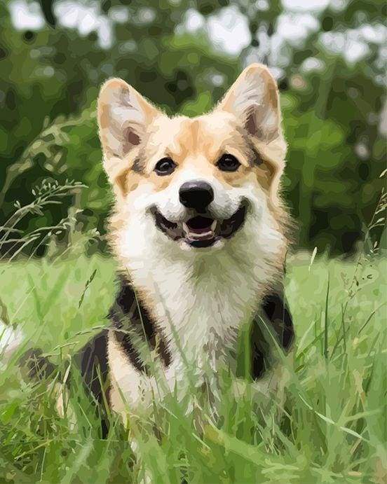 Amiamo I Cani Diamond Painting | Seos Shop ® - immagine 2