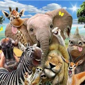 Animali Africani Diamond Painting | Seos Shop ®