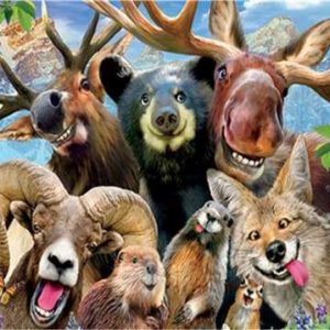 Animali Diamond Painting | Seos Shop ®