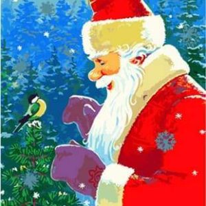 Babbo Natale Con Uccellino Diamond Painting | Seos Shop ®