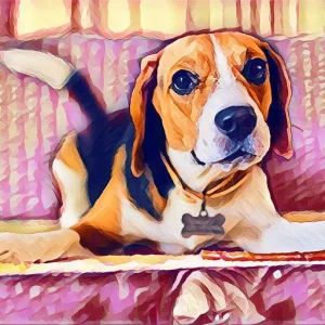 Bel Beagle Diamond Painting | Seos Shop ®
