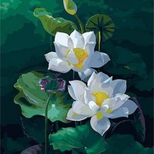 Belle Ninfee Diamond Painting | Seos Shop ®