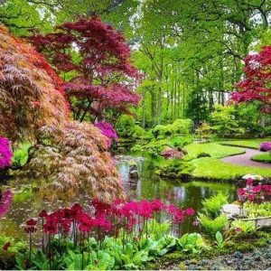 Bellissimo Parco Diamond Painting | Seos Shop ®