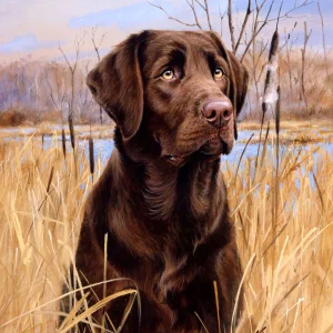 Cane Labrador Diamond Painting | Seos Shop ®