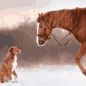 Cavallo E Cane Nella Neve Diamond Painting | Seos Shop ®
