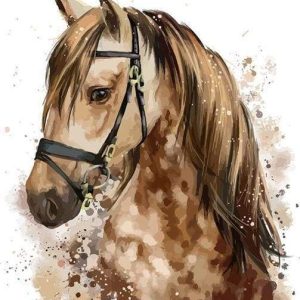 Cavallo Marrone Diamond Painting | Seos Shop ®