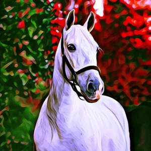 Cavallo su sfondo colorato Diamond Painting | Seos Shop ®