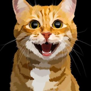 Ciao Bel Gattino Diamond Painting | Seos Shop ®