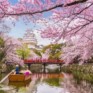 Ciliegi In Fiore In Giappone Diamond Painting | Seos Shop ®