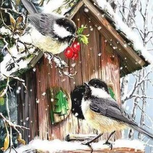 Cinciallegra Diamond Painting | Seos Shop ®