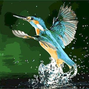 Colibrì che prende il volo Diamond Painting | Seos Shop ®
