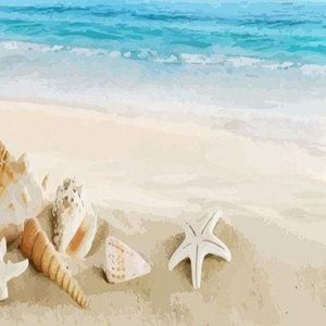 Conchiglie In Riva Al Mare Diamond Painting | Seos Shop ®