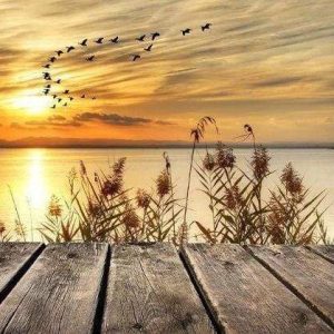 Diamond Painting - Al Lago Diamond Painting | Seos Shop ®