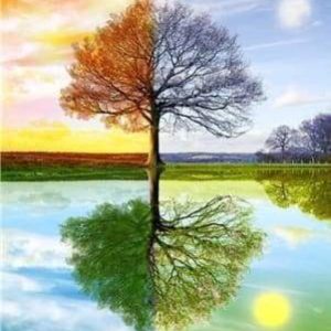 Diamond Painting - Albero Delle 4 Stagioni 2 Diamond Painting | Seos Shop ®