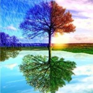 Diamond Painting - Albero Delle 4 Stagioni Diamond Painting | Seos Shop ®