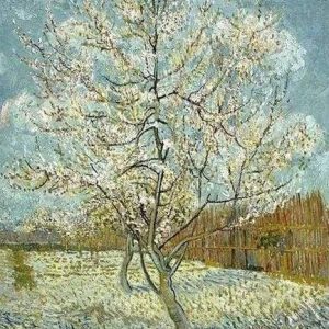 Diamond Painting - Albero Diamond Painting | Seos Shop ®
