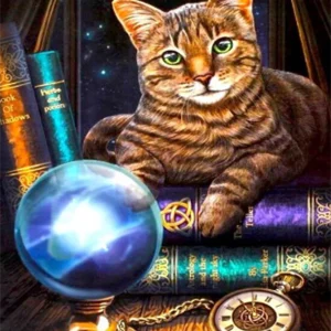 Diamond Painting - Il gatto del mago Diamond Painting | Seos Shop ®