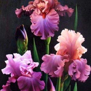 Diamond Painting - Iris In Fiore Diamond Painting | Seos Shop ®