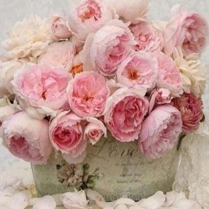 Diamond Painting - La Vita In Rosa Diamond Painting | Seos Shop ®