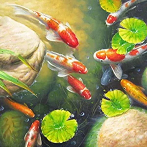 Diamond Painting - Laghetto di Carpe Koi Diamond Painting | Seos Shop ®