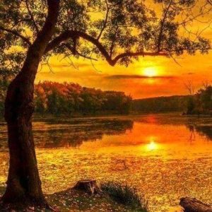 Diamond Painting - Lago Al Tramonto Diamond Painting | Seos Shop ®