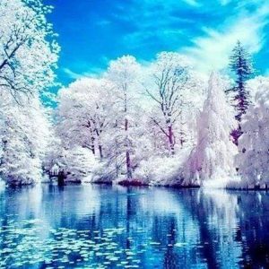 Diamond Painting - Lago In Inverno Diamond Painting | Seos Shop ®