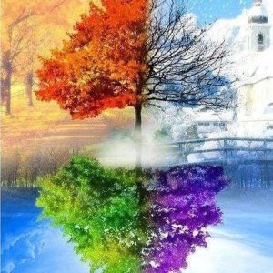 Diamond Painting - Le 4 Stagioni Diamond Painting | Seos Shop ®