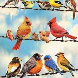 Diamond Painting - Linee Di Uccelli Diamond Painting | Seos Shop ®