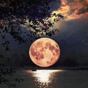 Diamond Painting - Luna Piena Diamond Painting | Seos Shop ®