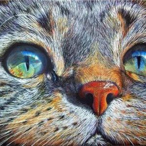 Diamond Painting - Muso Di Gatto Diamond Painting | Seos Shop ®