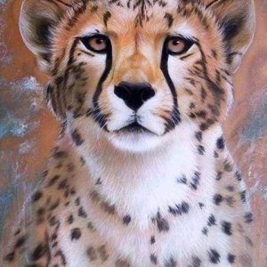 Diamond Painting - Muso Di Ghepardo Diamond Painting | Seos Shop ®