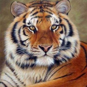 Diamond Painting - Occhio Di Tigre Diamond Painting | Seos Shop ®