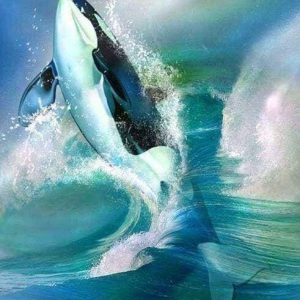 Diamond Painting - Orca Diamond Painting | Seos Shop ®