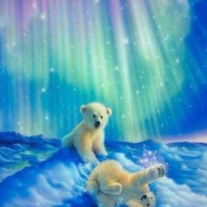 Diamond Painting - Orsi E Aurora Boreale Diamond Painting | Seos Shop ®